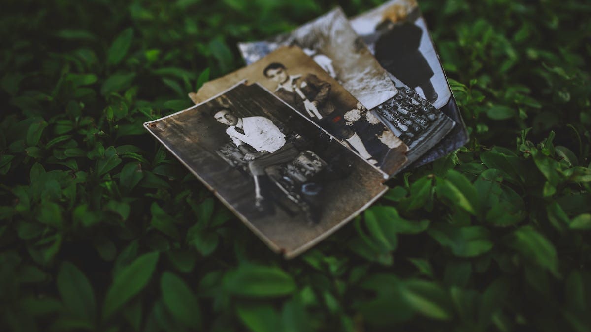 A collection of vintage photos lies on vibrant green leaves, evoking nostalgia and history.